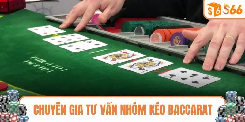 Chuyên gia tư vấn nhóm kéo baccarat