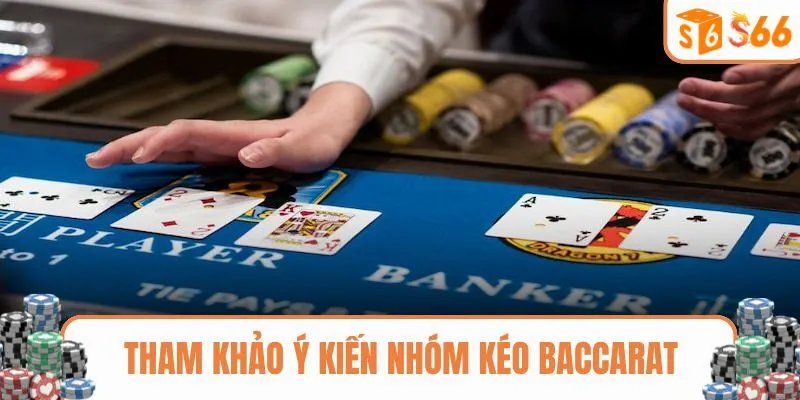 Tham khảo ý kiến nhóm kéo baccarat