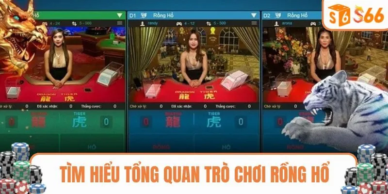 Tìm hiểu tổng quan trò chơi Rồng Hổ